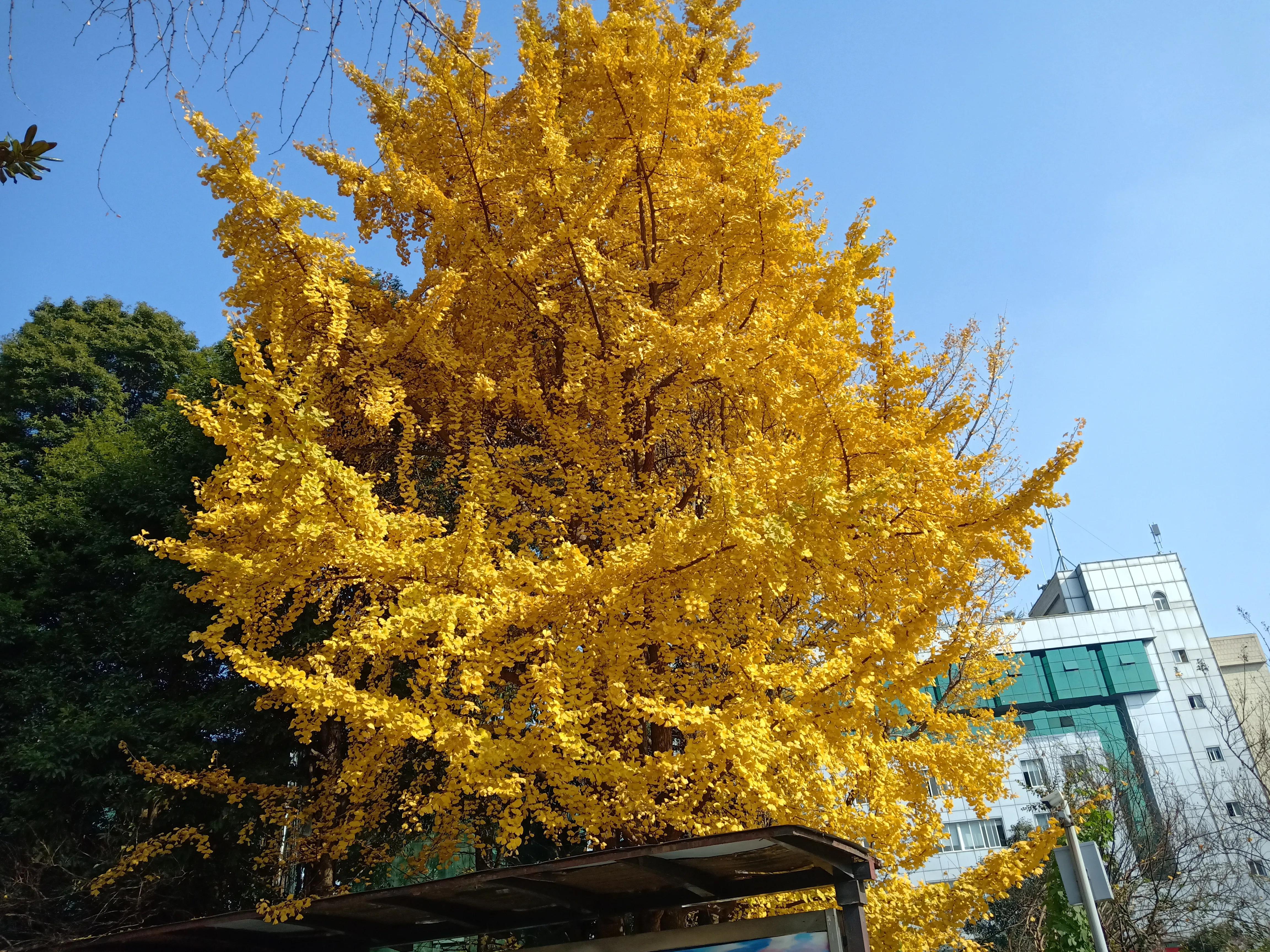 你所做的行为是在给自己积德,你的所作所为必定付出代价