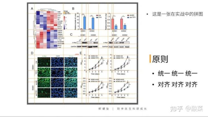 sci作图最好的软件,graphpadprism作图原理
