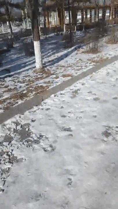 古牧生病前兆,古牧被遗弃了