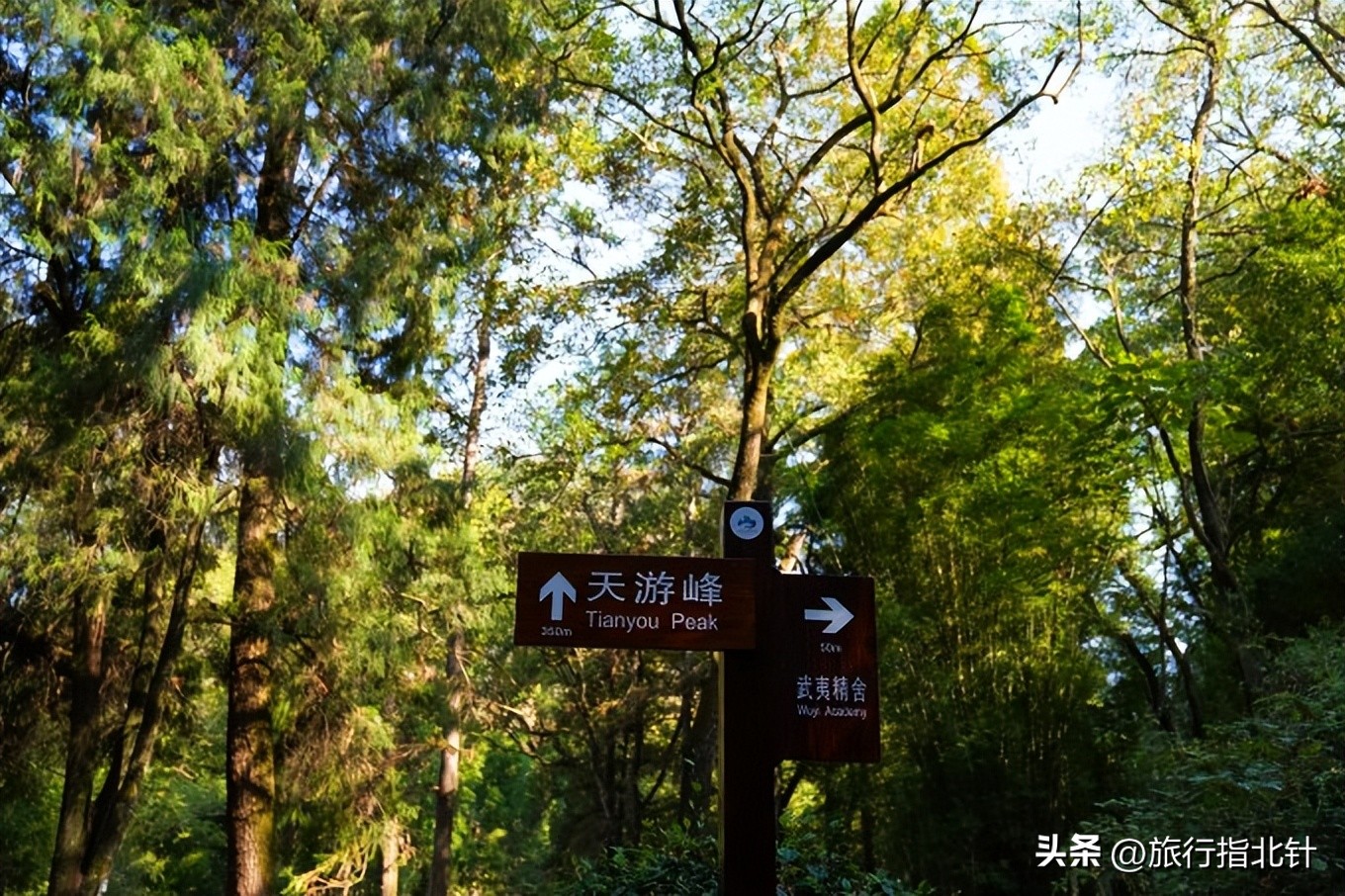 福建旅游攻略武夷山,福建武夷山旅游攻略一日游