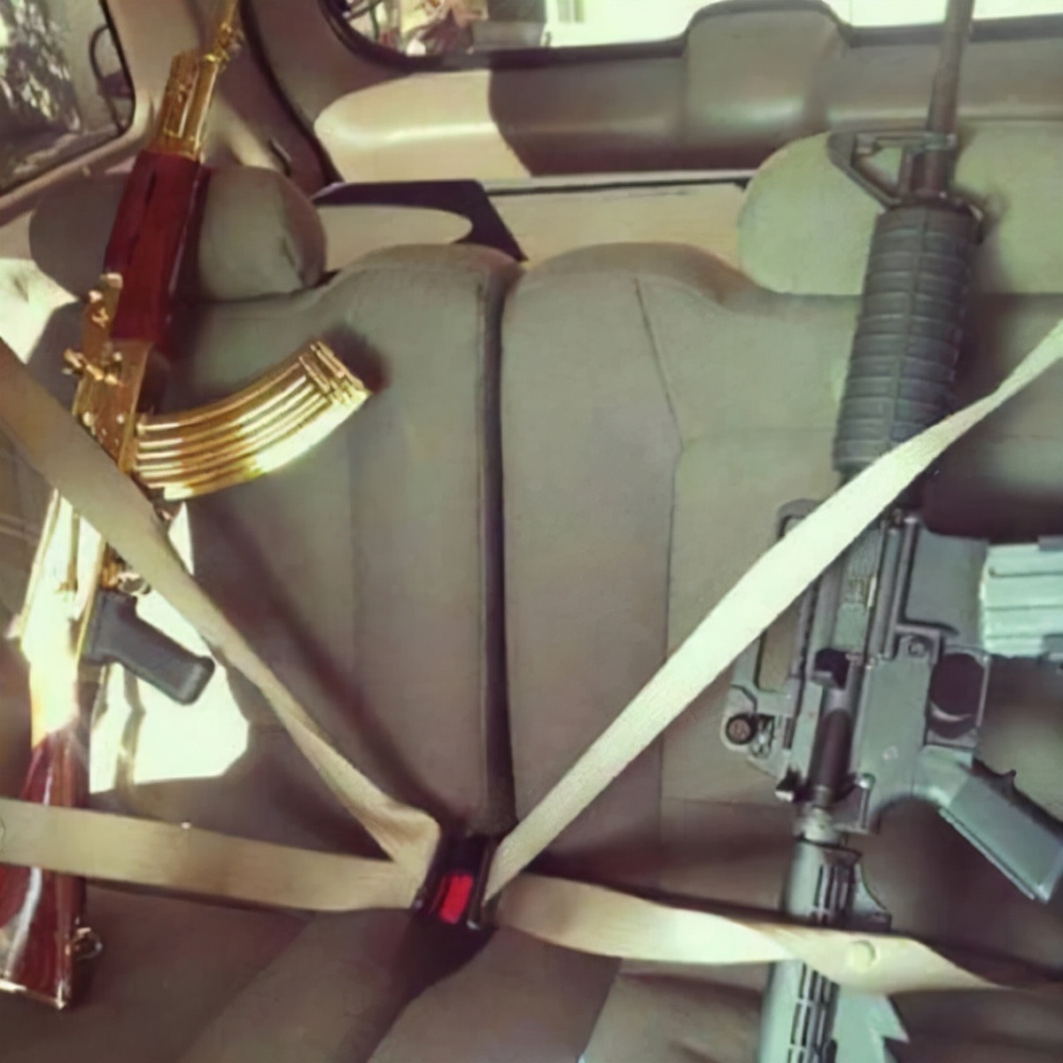 世界上最壮的牛照片,世界最壮的牛图片