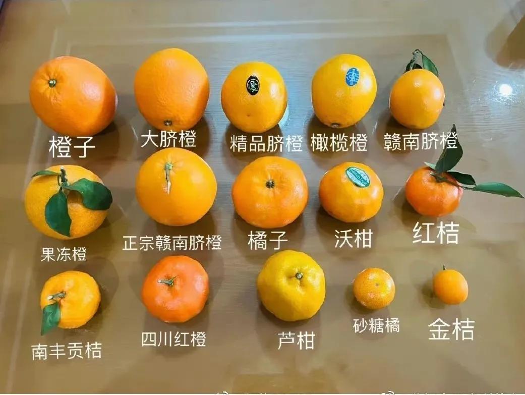 橙子橘子柚子是寒性还是热性,柠檬柚子橘子橙子有什么关系