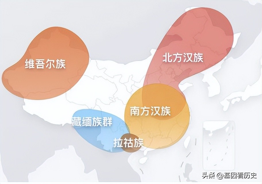 地道的中国人，为什么基因里有日本和韩国血统？