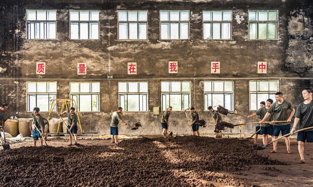 贵州酱香三大品牌,汾酒五粮液和茅台哪个好