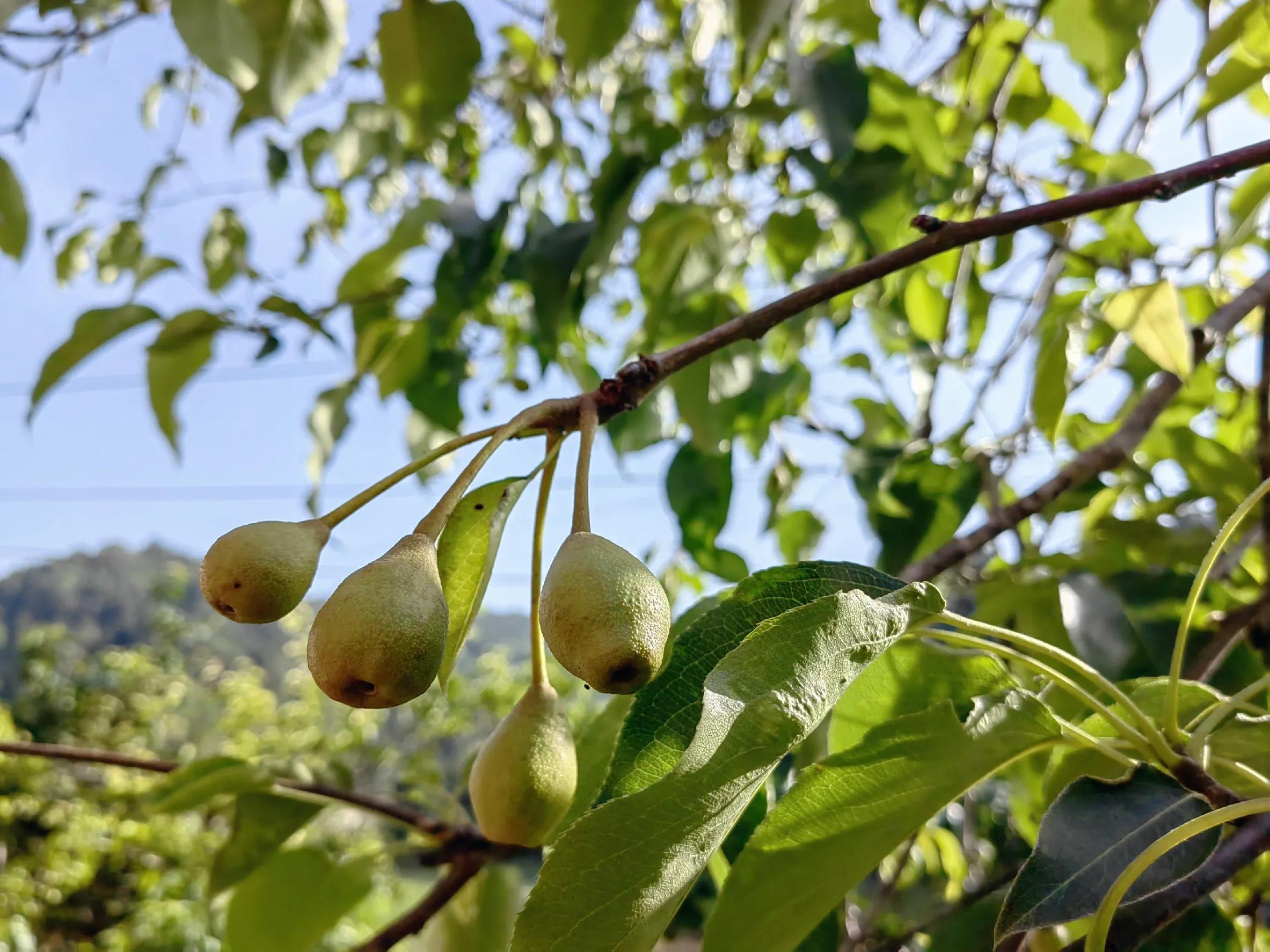 夏季是我的希望，我的三次创业都是从夏天开始