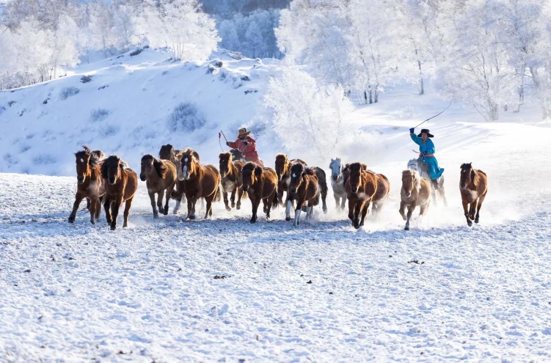 官方发声：让鞭炮声重新响起！必去的​14条春节长线，过个畅快新年