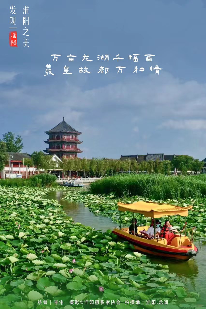 2021年周口淮阳荷花节,周口淮阳荷花节位置