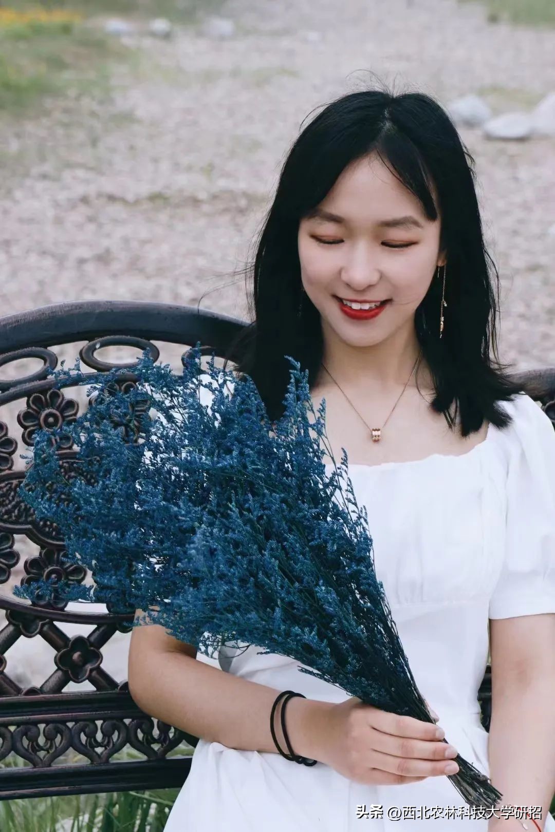 瑗垮寳鍐滄灄绉戞妧澶у鐮斿鎰熸偀,瑗垮寳鍐滄灄绉戞妧澶у鐮斿涔嬫梾