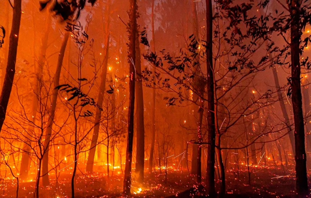 英国40度高温与中国40度高温,英国40度很热吗