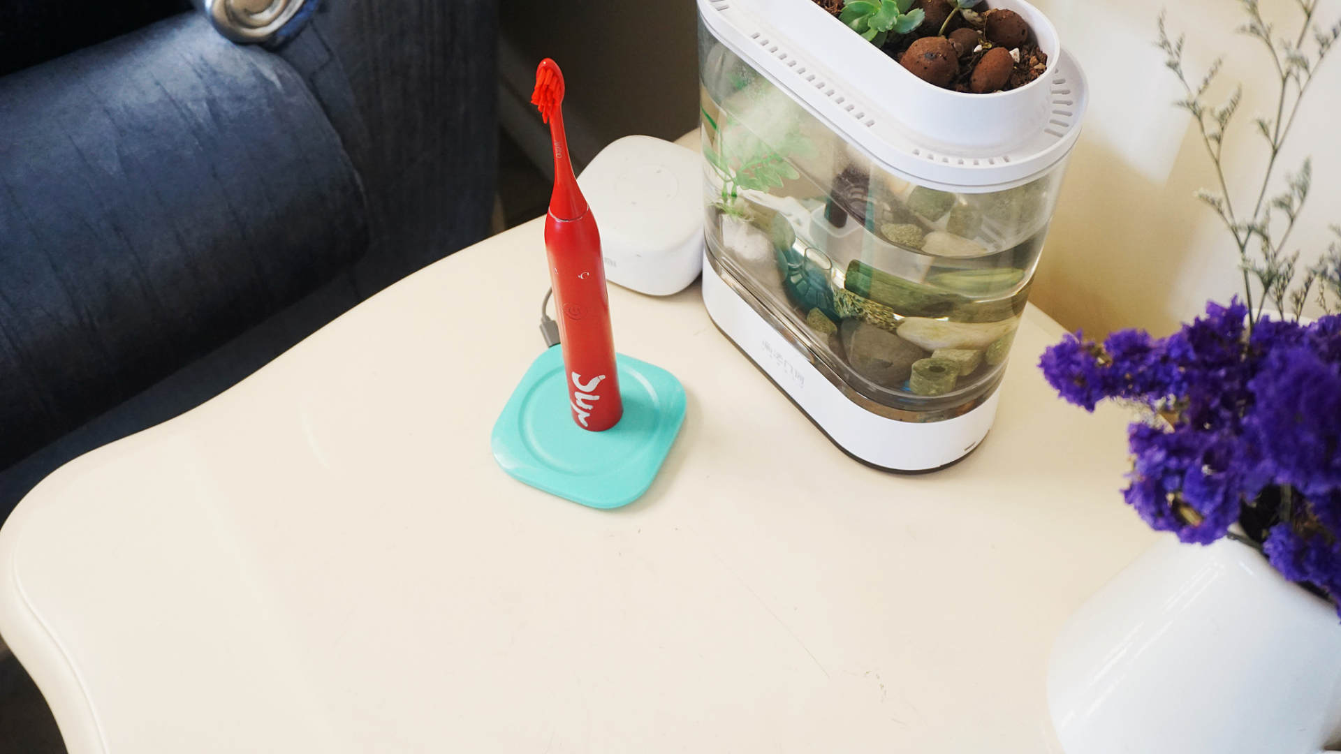 摩飞网红果蔬榨汁机,摩飞打卡网红果汁杯