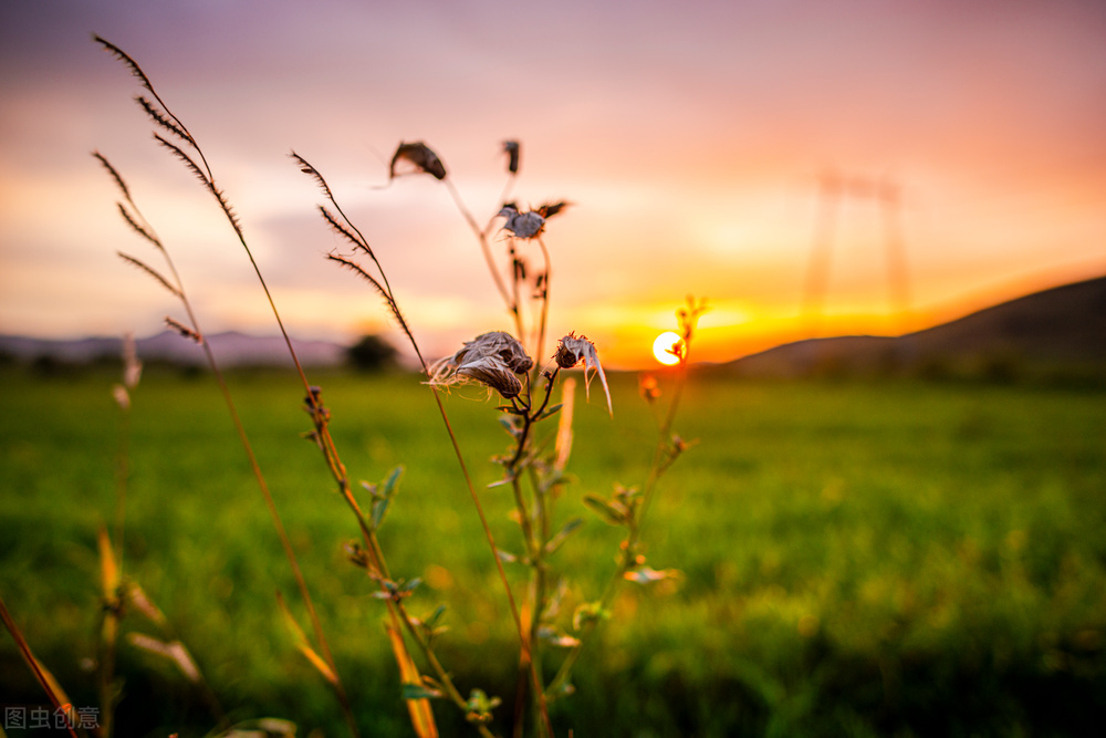 水星狮子座落入第五宫,水星进入狮子座啥意思