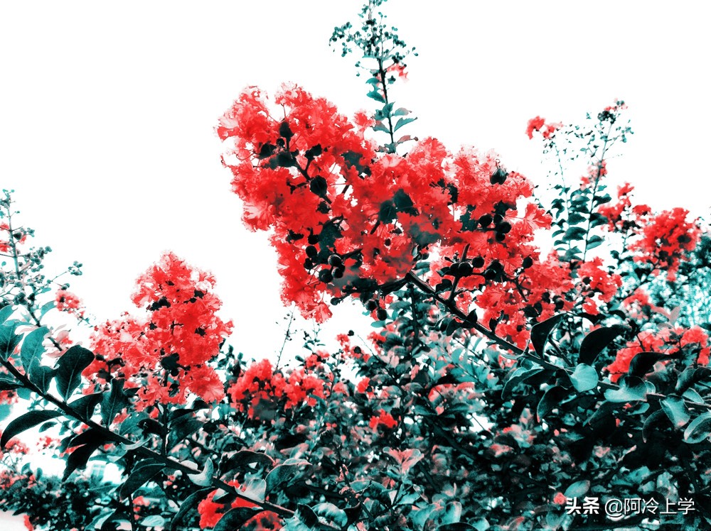 钓鱼的医生简介,钓鱼的医生汪曾祺主要内容