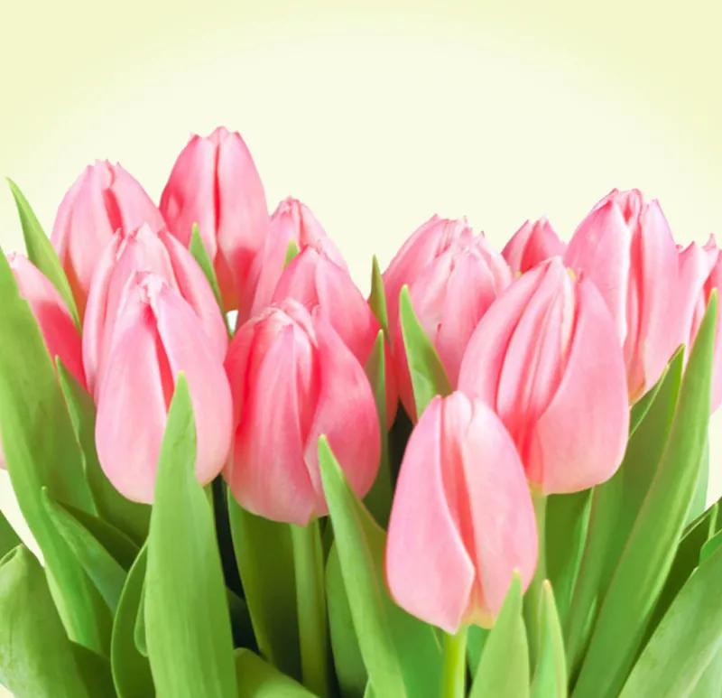 一花一世界一念一佳人的图片,一花一世界一叶一春秋图片