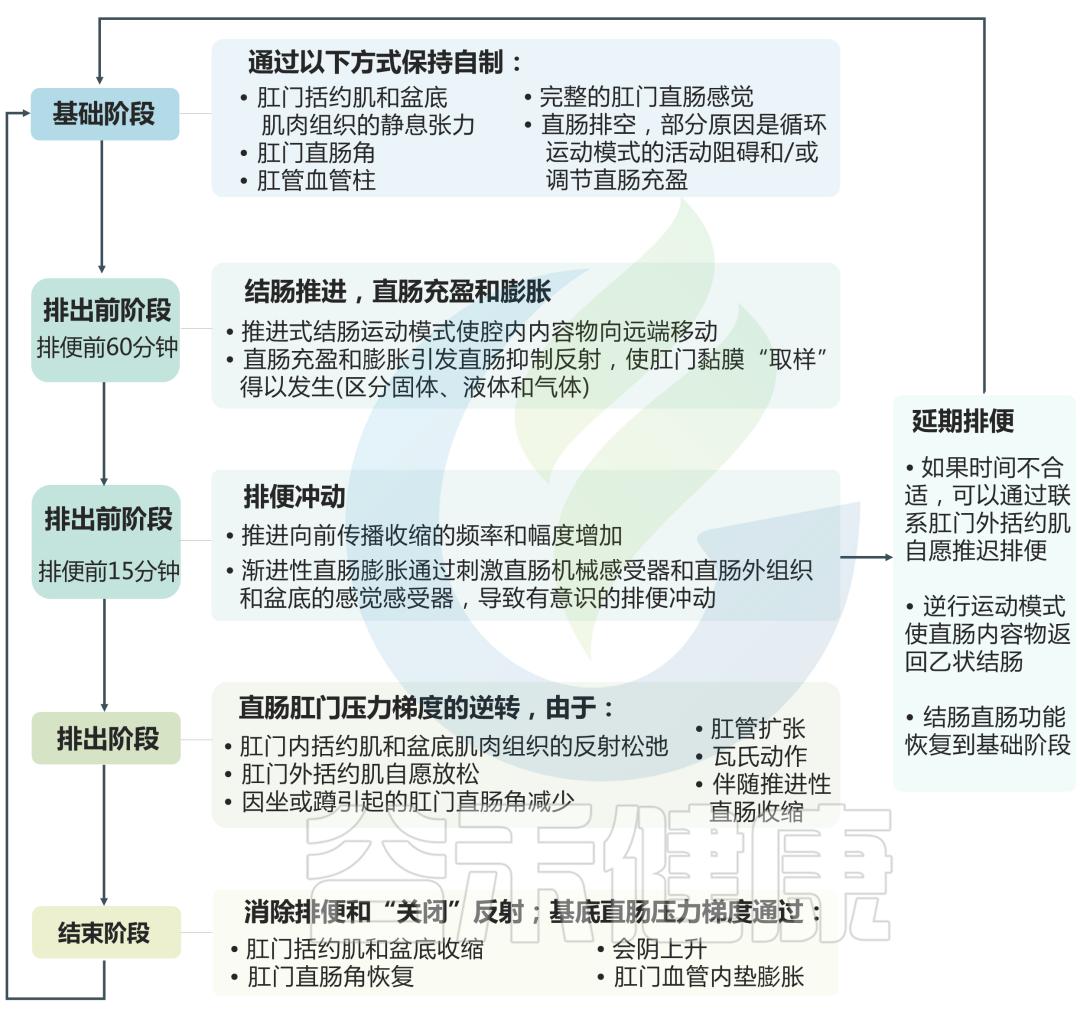 先别冲！原来你是这样的——“便便”