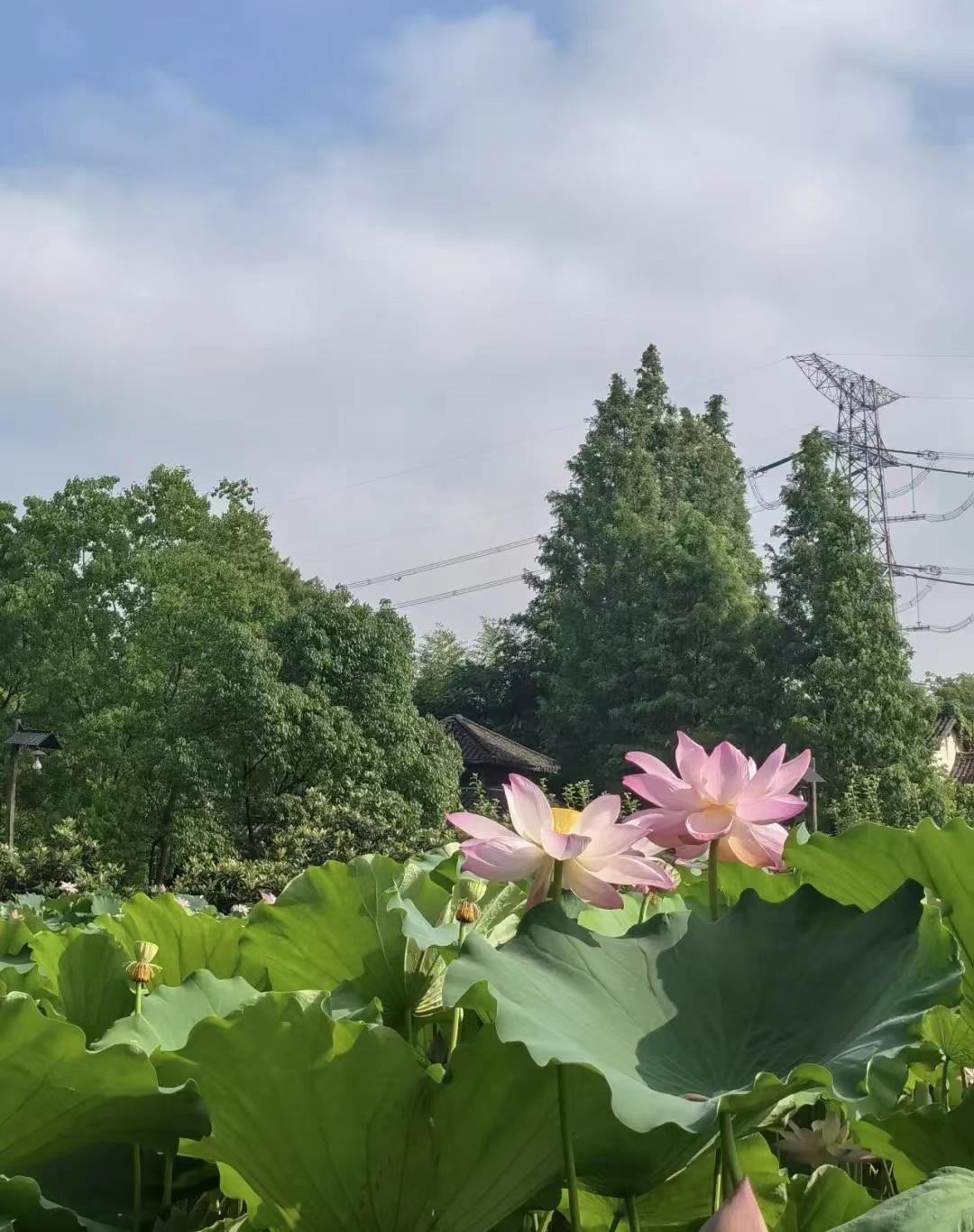 终于去了“中国本土版ClubMed”,乌村也太好玩了吧