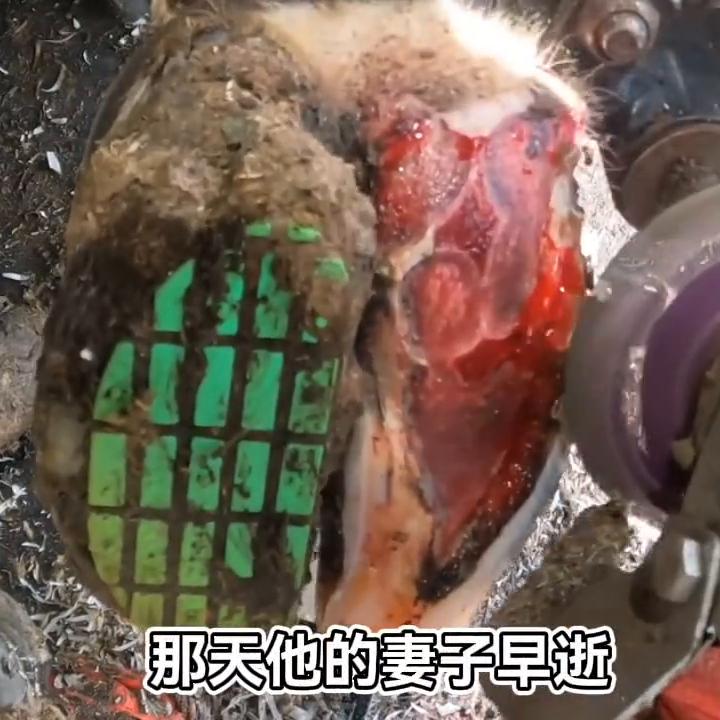 故事的我在职高门口#小说控