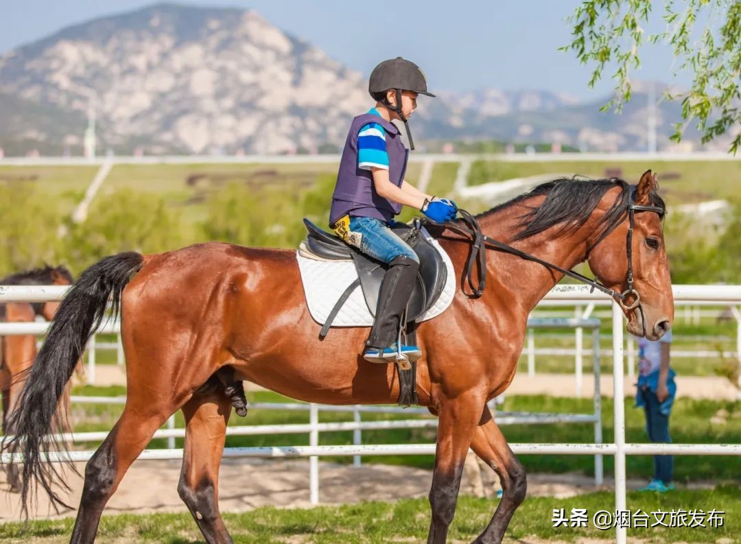暑假消暑大作战,亲子娱乐大作战