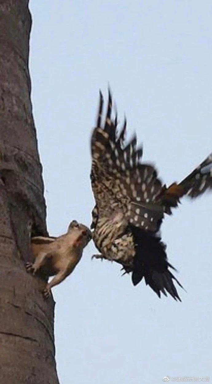 不用烦恼男孩子在想什么|冷段子2015