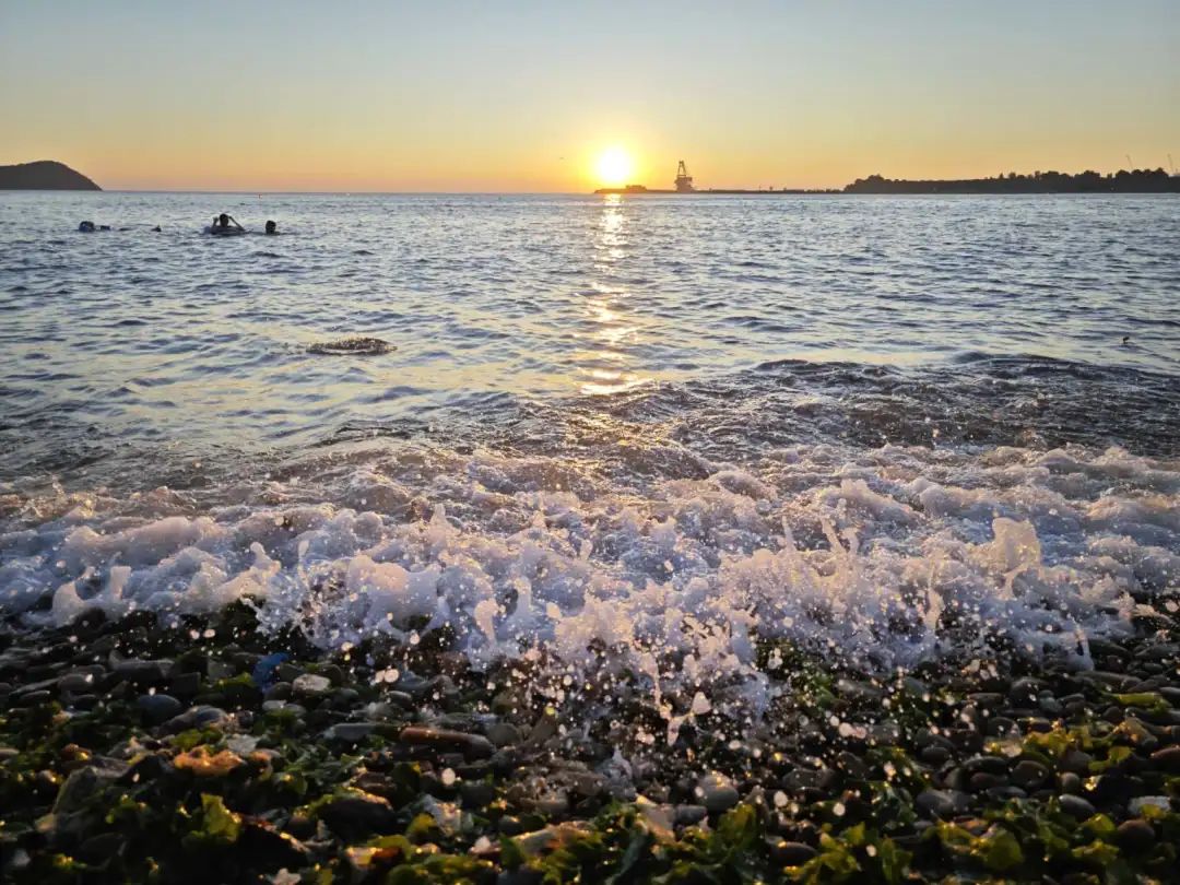 吃素后如何突破“不适应期”？看看00后素食博主的人生PlanB