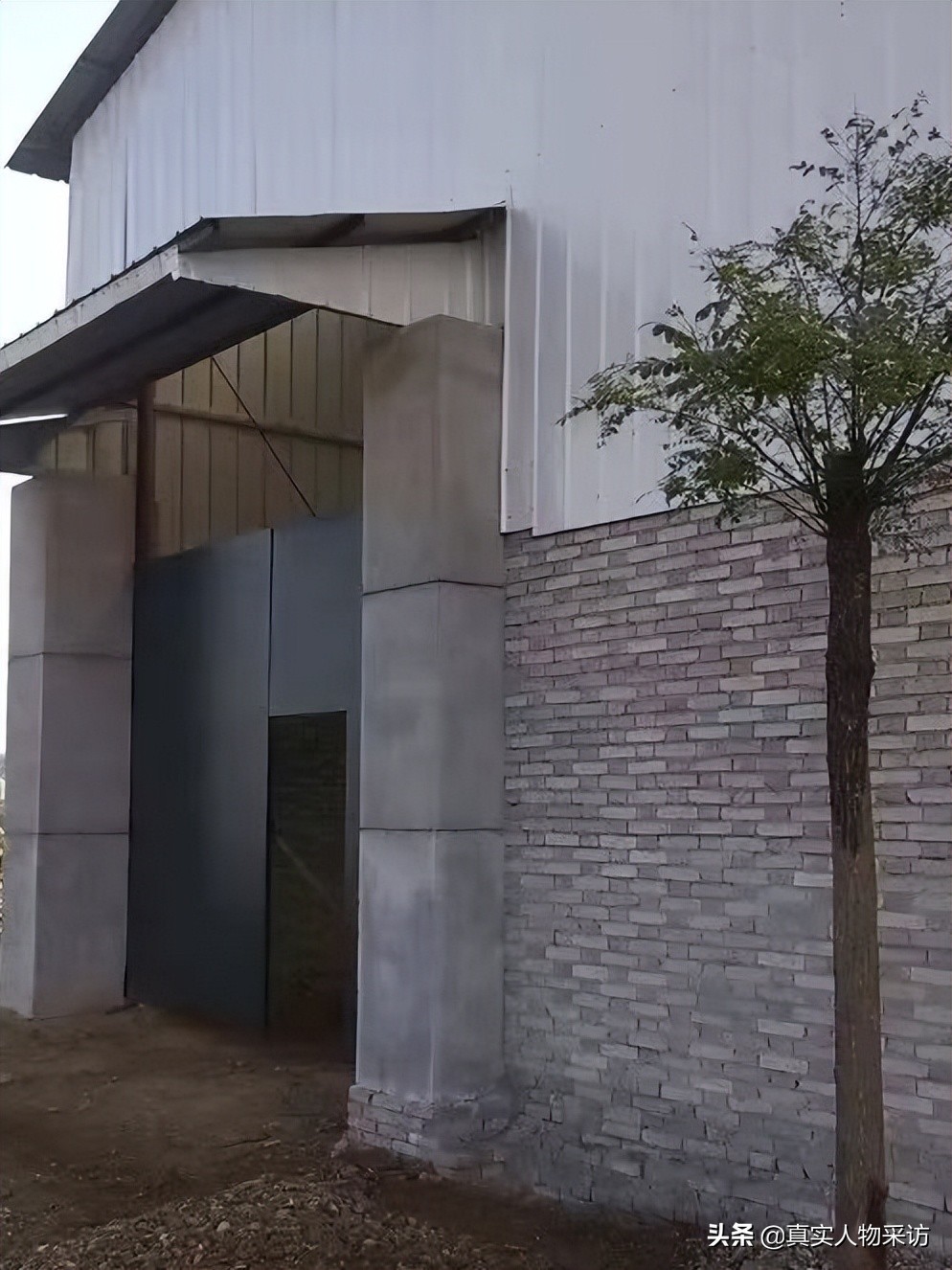 我，18岁带100元离家，创业4次频频失败，写作7年，如今年入百万