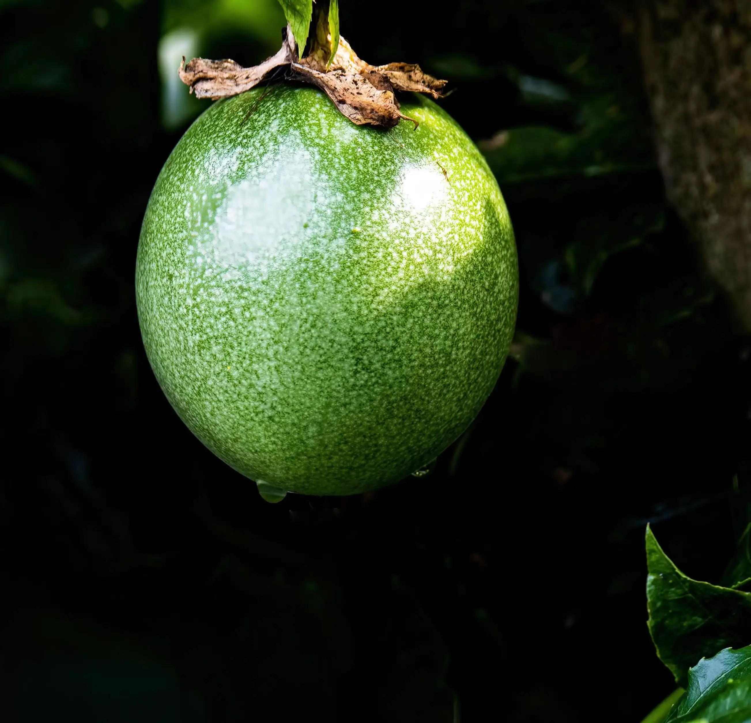 生财有道致富有门,致富有门路视频