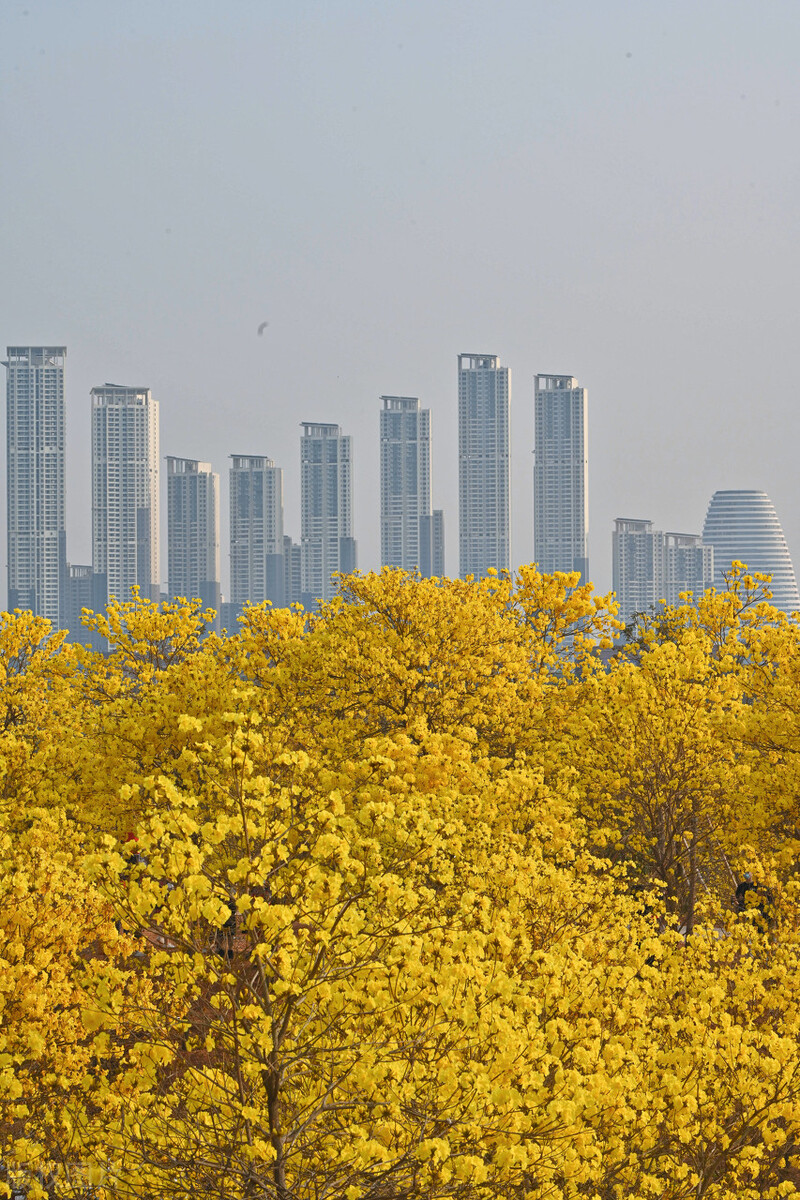 南宁必去十大景点排名,南宁旅游必去十大景点排名最新