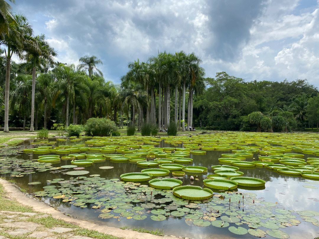 云南最漂亮的景点排名,云南最漂亮的景点推荐