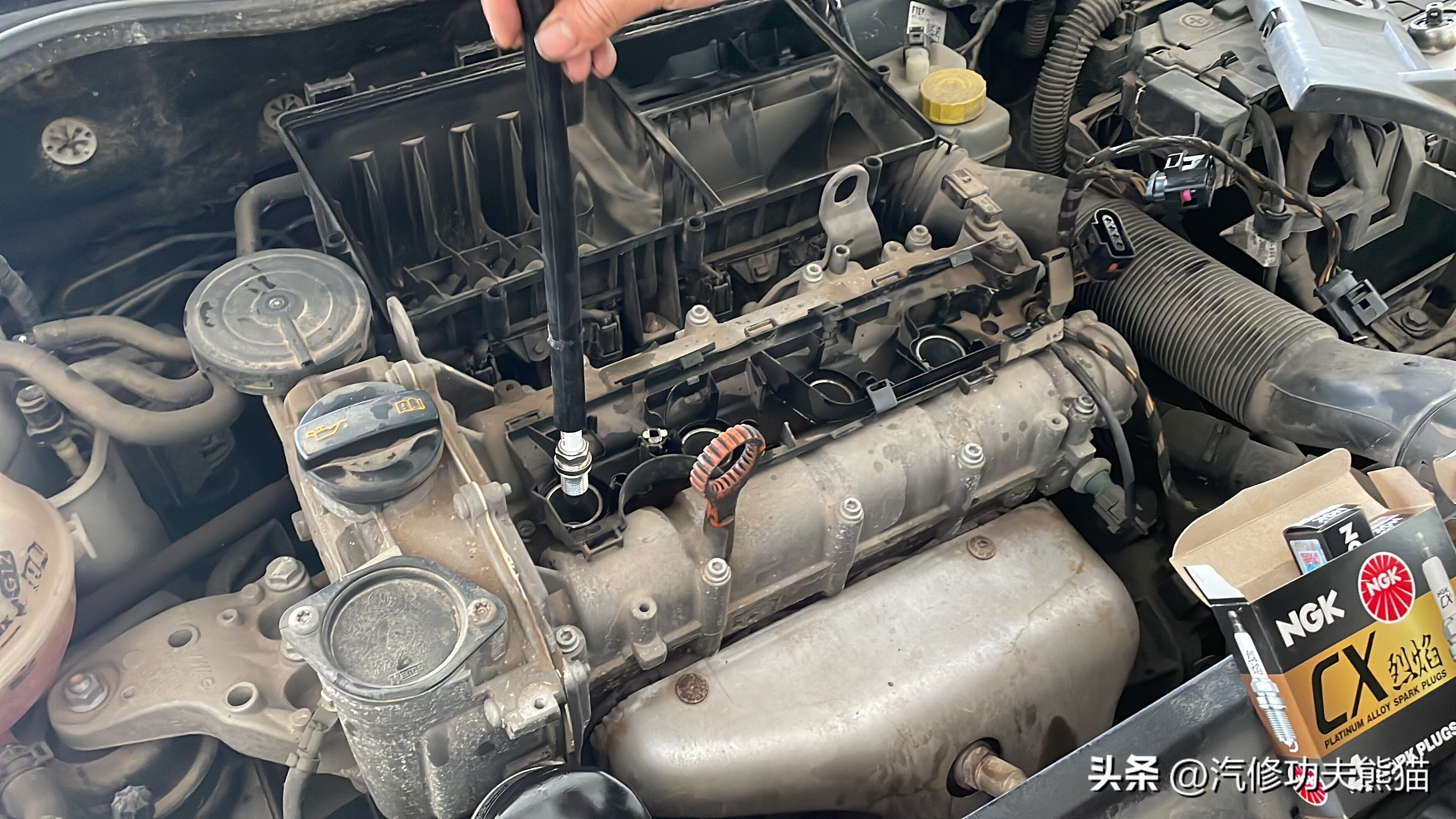 大众polo保养最省钱,女士开自动挡5万左右polo车