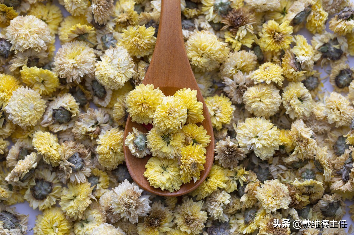 喝菊花茶对甲状腺结节有用吗,甲状腺结节喝菊花茶有用么