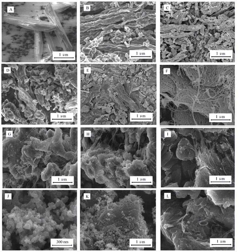 扫描电镜SEM和透射电镜TEM的区别