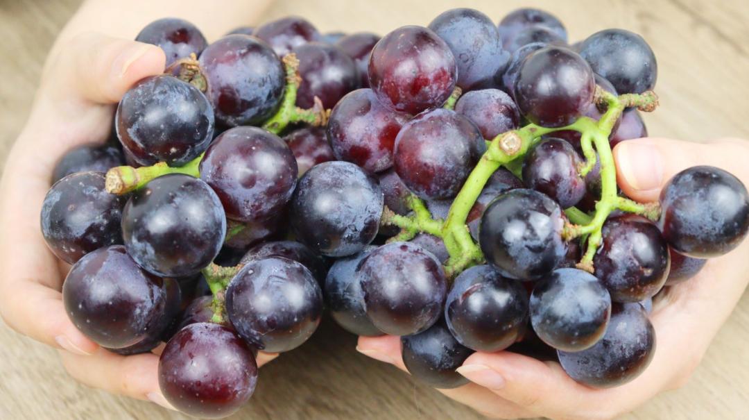 洗葡萄能不能用淀粉洗,洗葡萄时用盐水洗等于吃虫卵