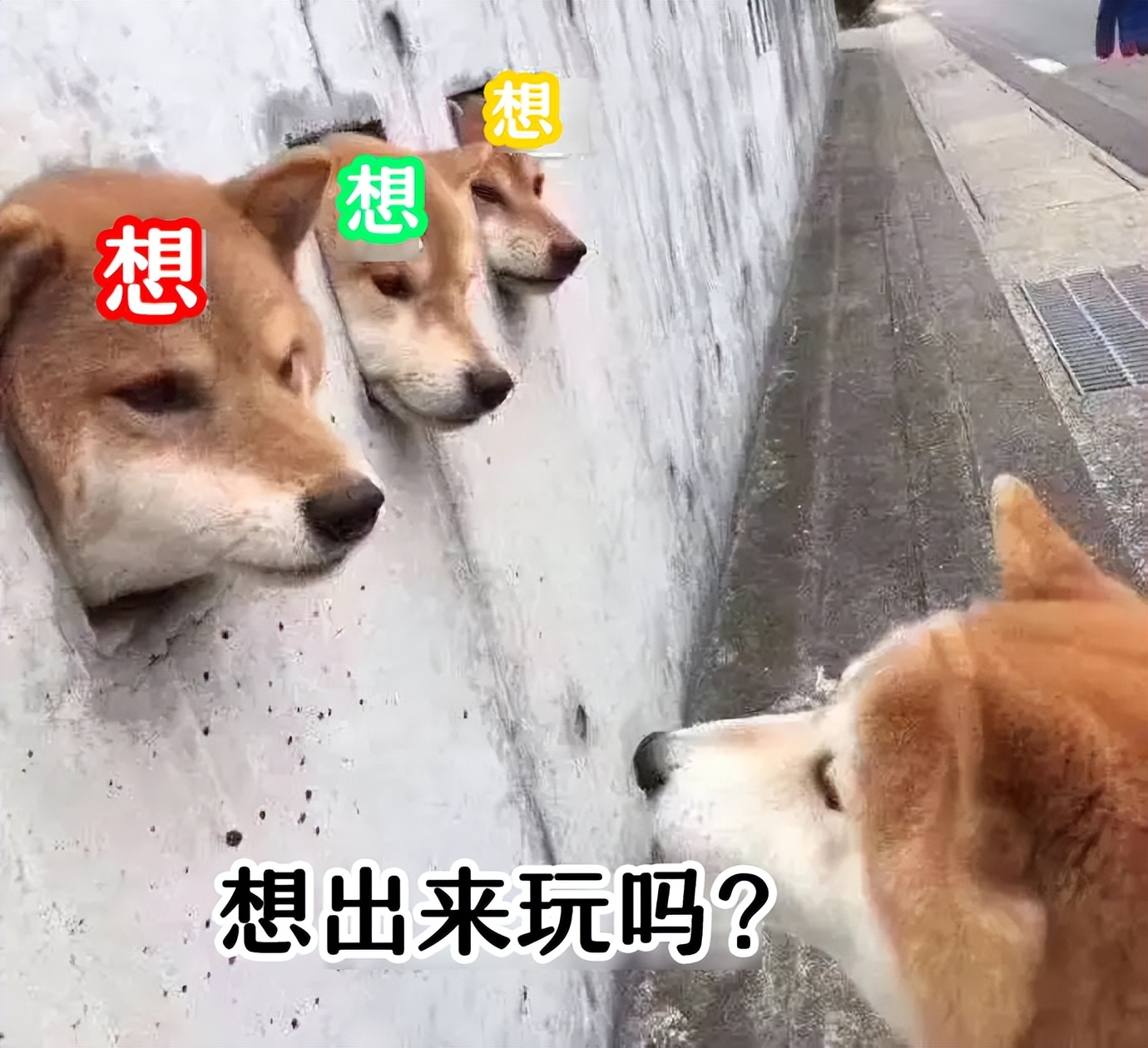 割吗?割啊!我在割包皮的医院走廊,唱完整首孤勇者