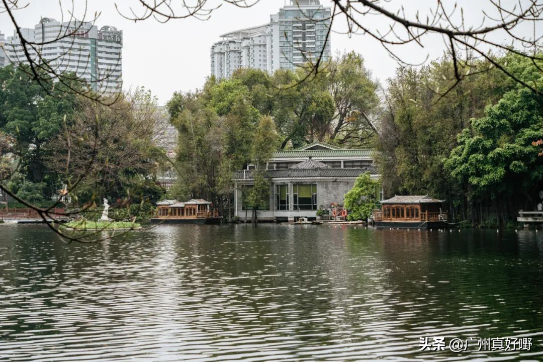 2019广州十大浪漫约会圣地,广州白云哪里适合情侣游玩