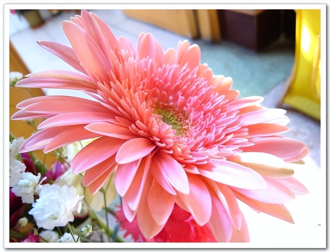 抗癌女博士为活命赴美治疗,35岁女博士赴美治癌死了