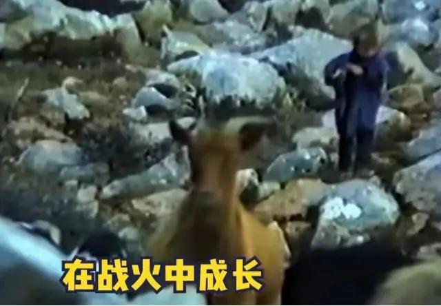 卢卡莫德里奇放羊娃,2022年卢卡莫德里奇进球剪辑