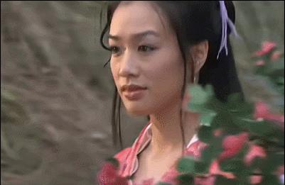 97天龙八部段正淳认女,97版天龙八部段正淳渣男片段