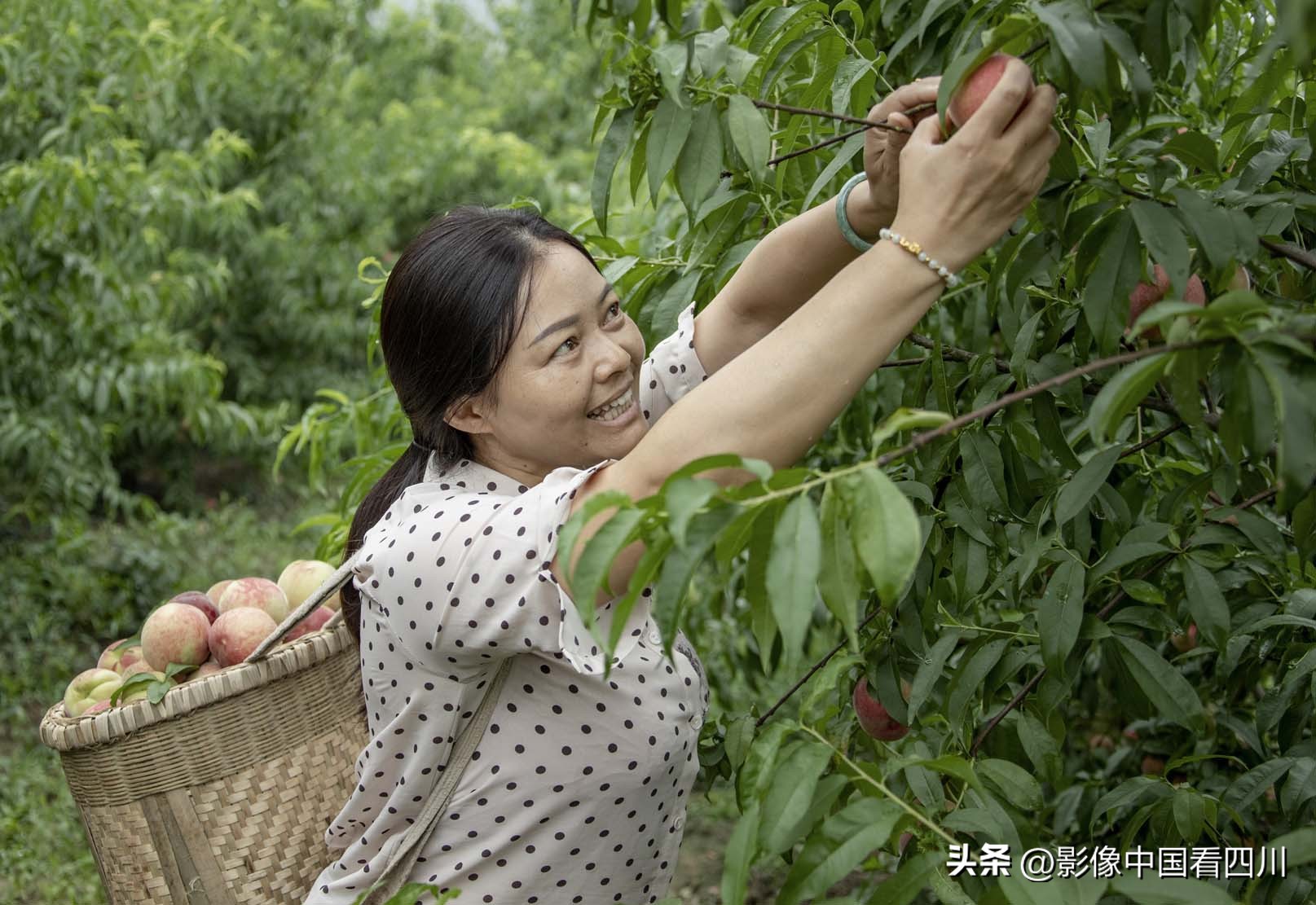 刘国兴的2022年:冬去春来,愿岁月静好(上集)