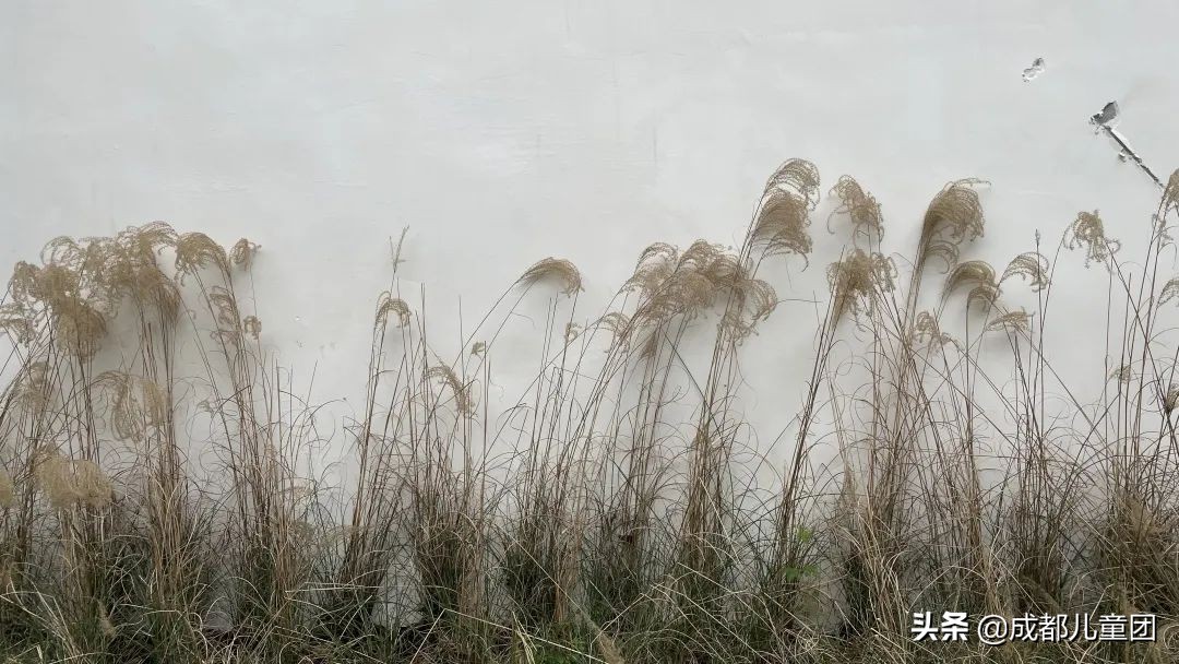 成都好耍的网红街区,成都比较有特色的老街