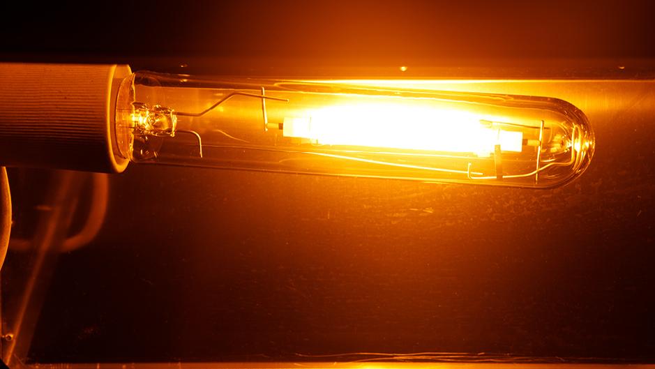 常见的灯有哪种,目前最流行的大灯是什么灯