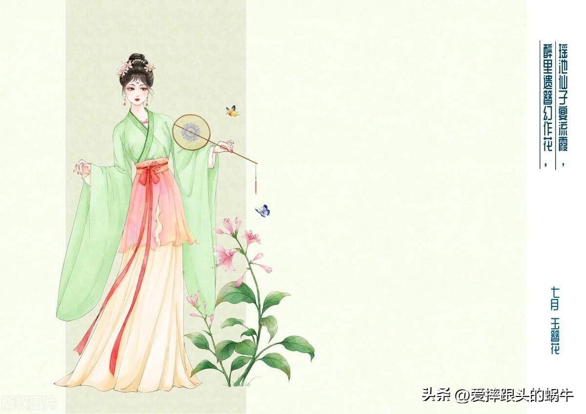 十二花神图谱完整版,工笔画十二花神欣赏