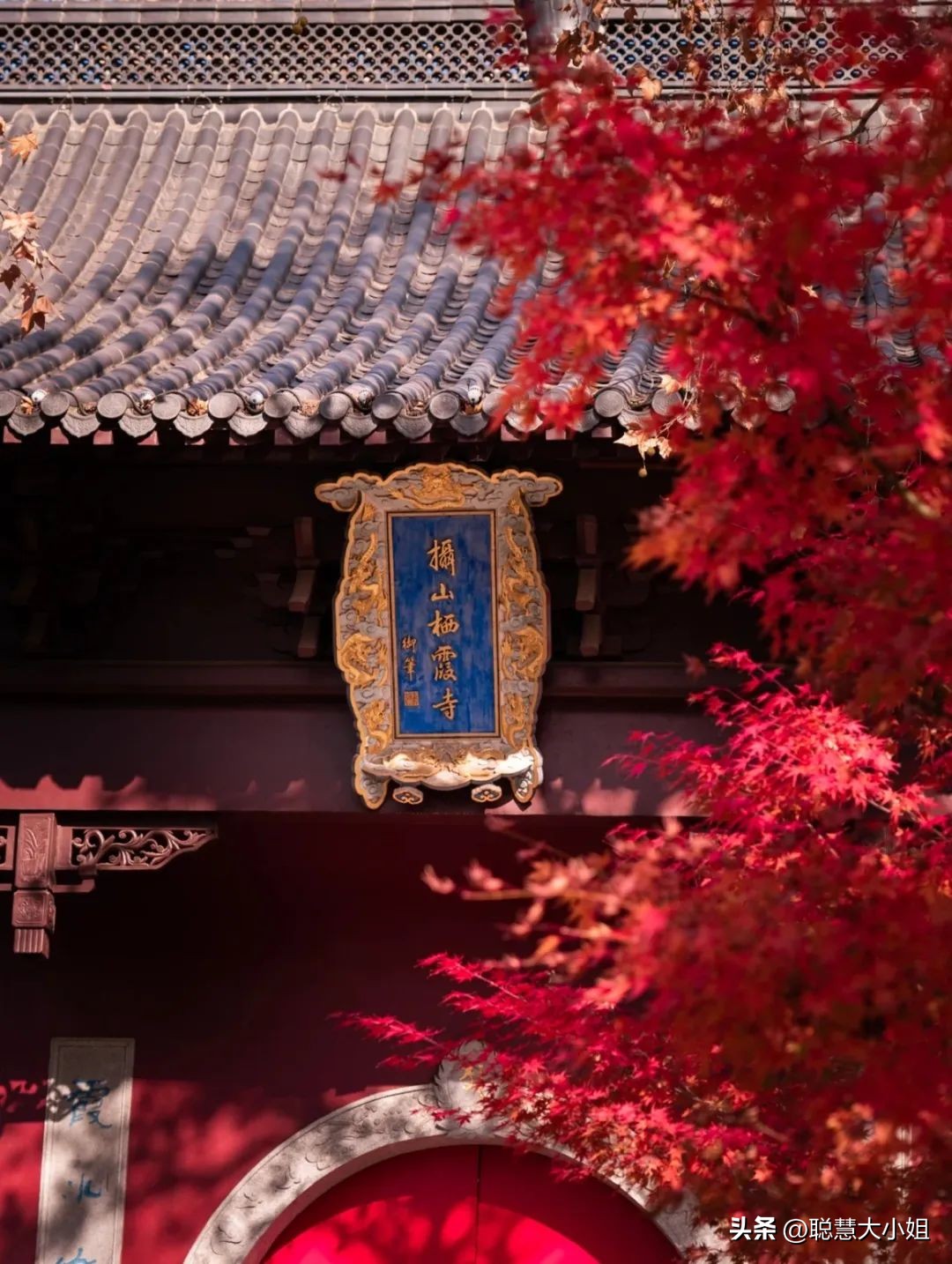 南京赏秋枫叶,南京秋天赏枫叶好去处