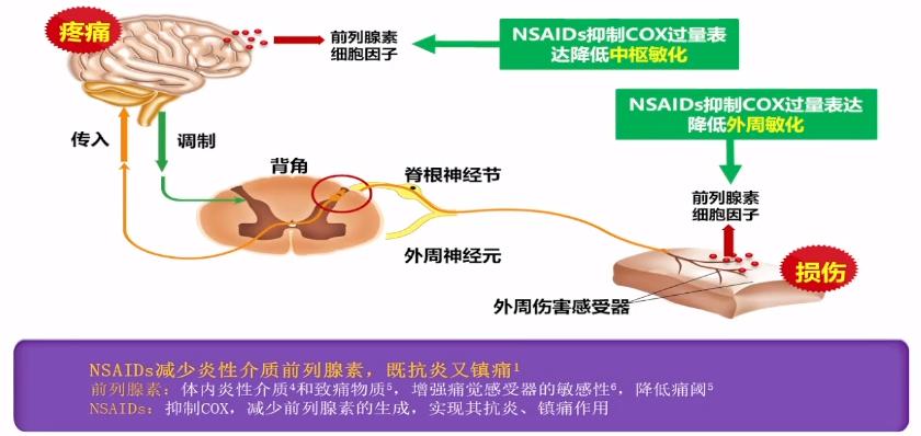 易斌教授,陆军军医大学易斌教授