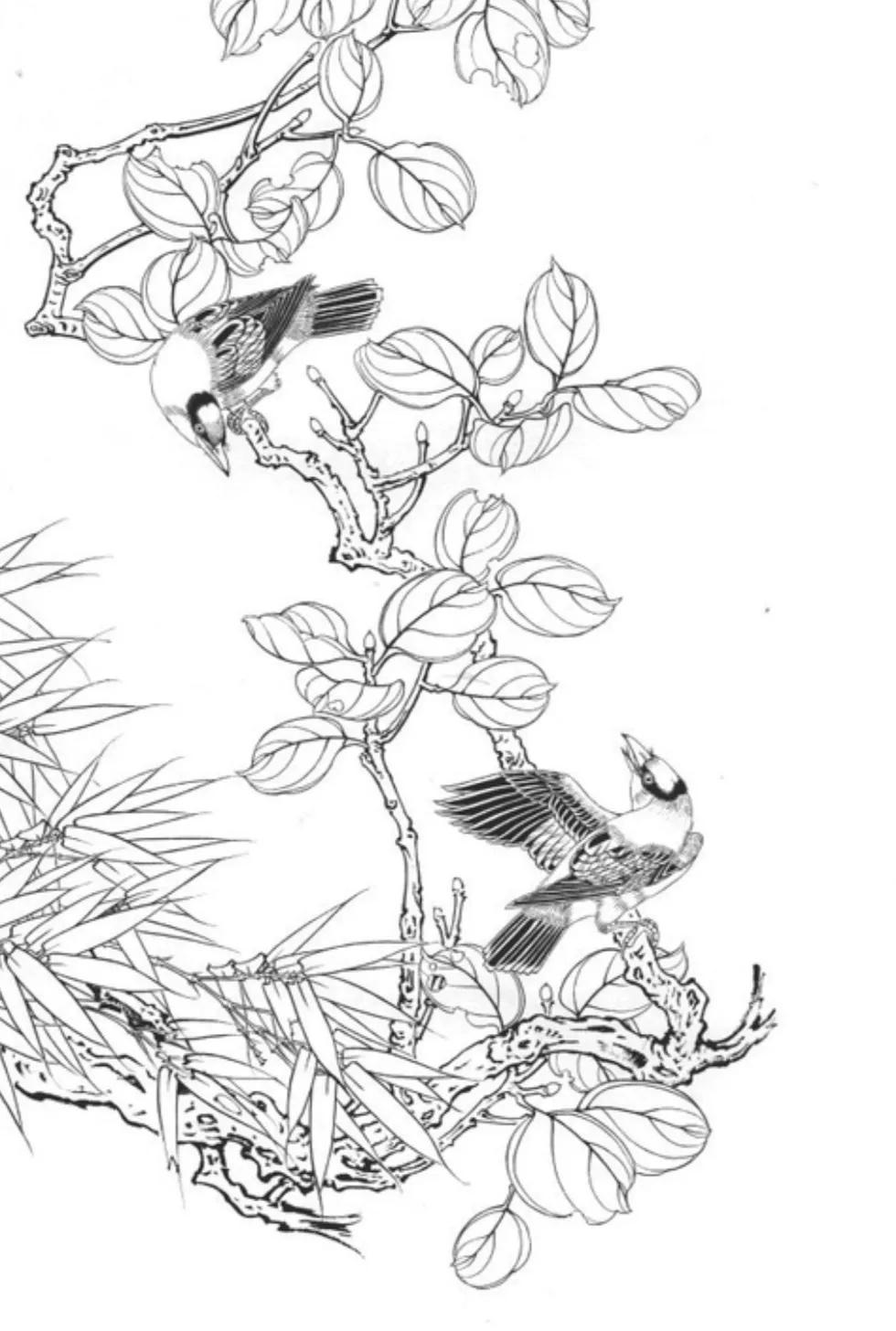 最美的白描作品欣赏,最难得一见的白描