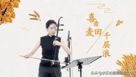 二胡的保养与护理,二胡音阶学习心得