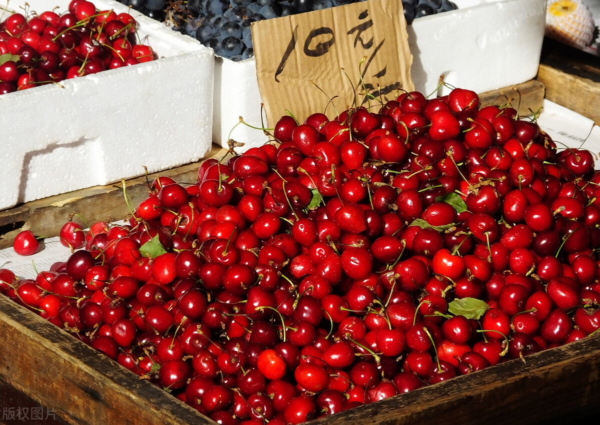 智利车厘子所有水果出口,现在水果进口哪些国家