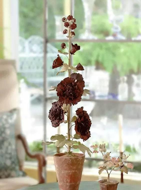 园丁的花园里开出了永生花,园丁永生花