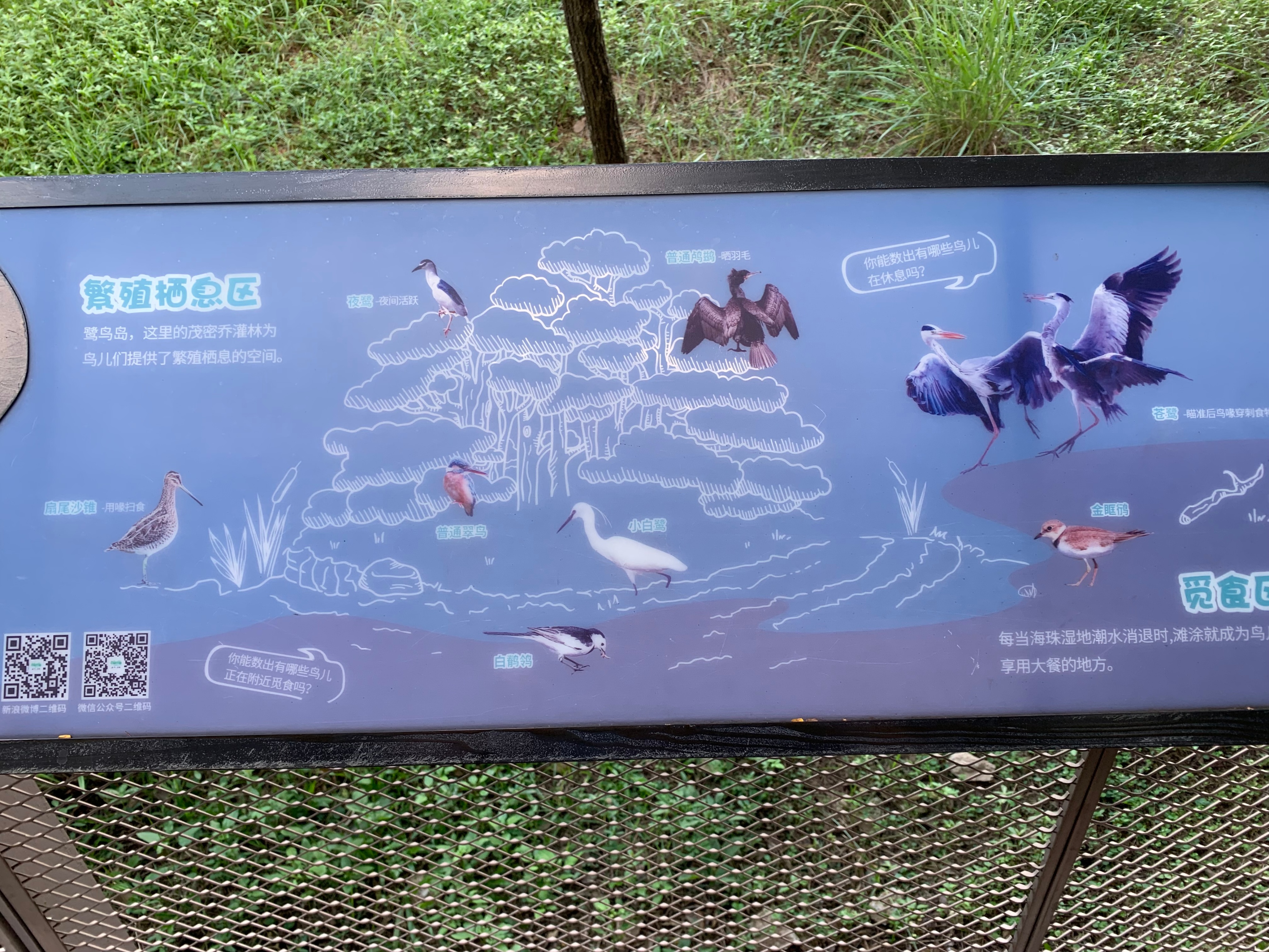 广州国庆假期一日游:南肾海珠湖国家湿地公园的最佳旅游攻略