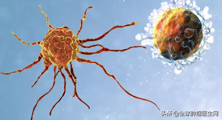 唤醒体内免疫细胞,唤醒免疫力