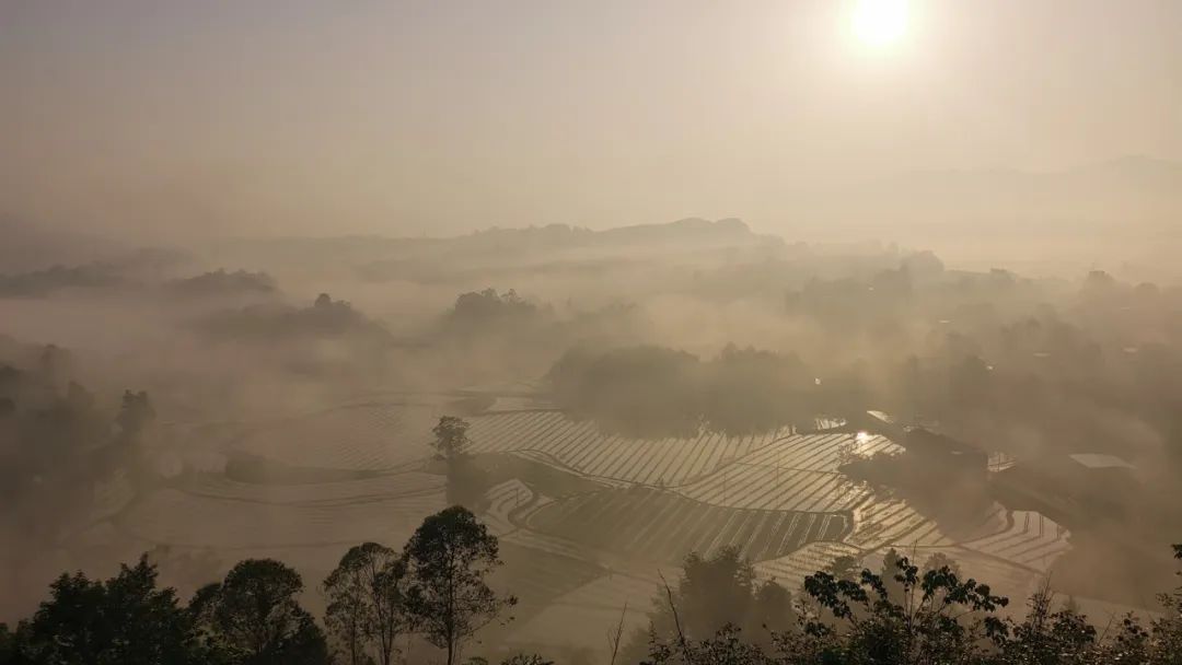 iga肾病四级能治愈几率有多大,iga肾病4级可以保持一辈子吗