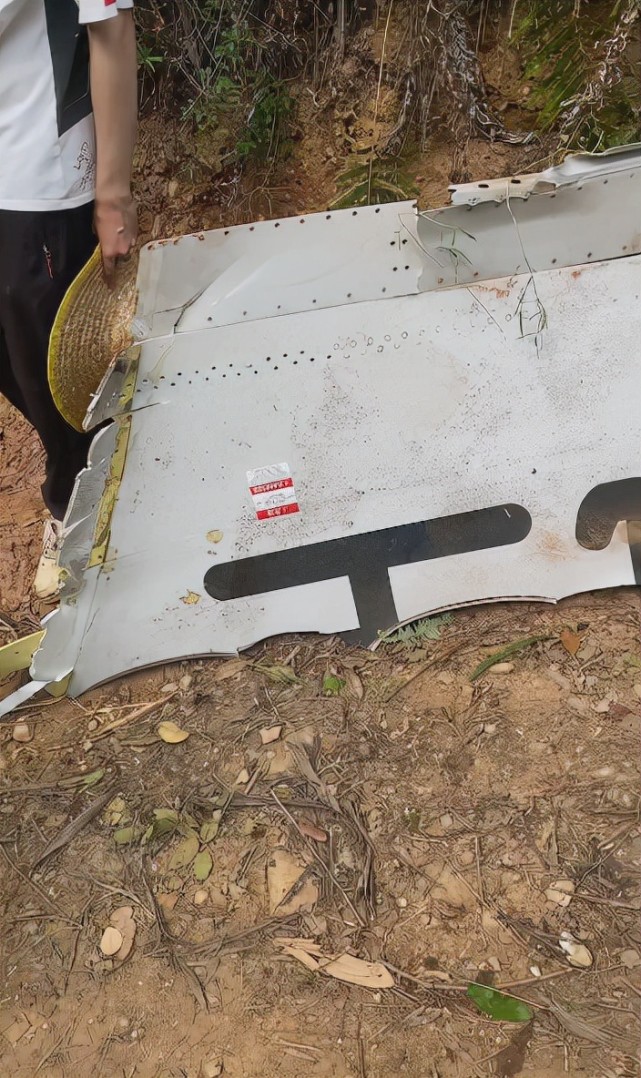 波音737飞机坠落事件伤亡名单,波音737飞机在广西坠落共多少次